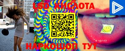 дмт Сочи