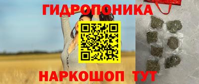 дмт Сочи