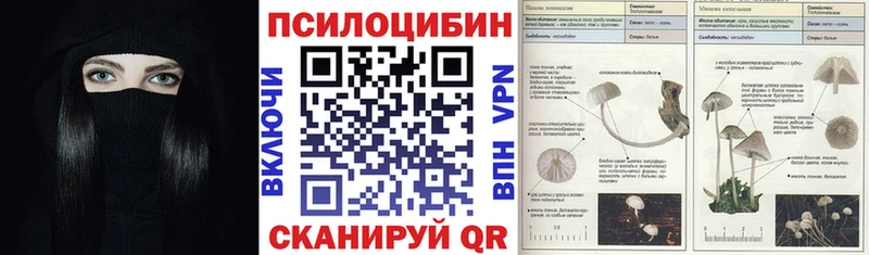 Галлюциногенные грибы Magic Shrooms  Владимир 