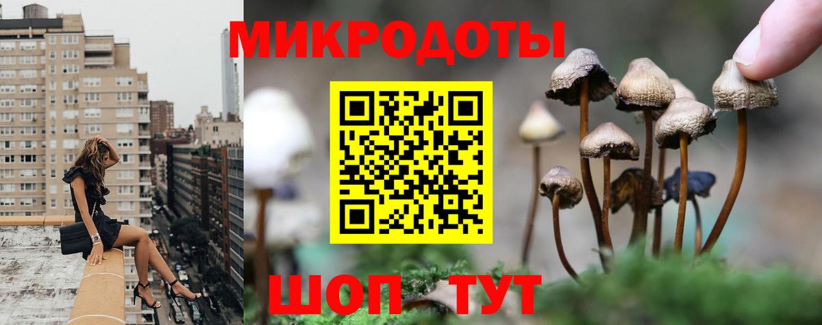 Галлюциногенные грибы Psilocybine cubensis Владимир